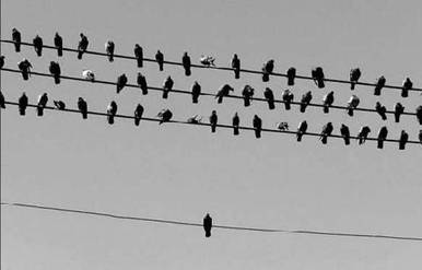 Description: image002.jpg